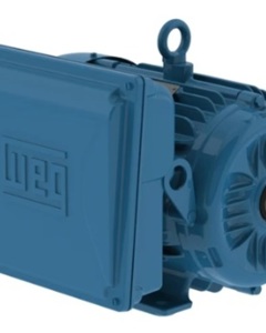 Motor 0,55kW 1Ph 110-127/220-254V 60Hz IP55 FS1,15 1740 η67%